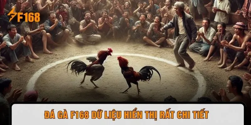 Đá gà F168 dữ liệu hiển thị rất chi tiết 