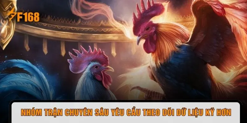 Nhóm trận chuyên sâu yêu cầu theo dõi dữ liệu kỹ hơn